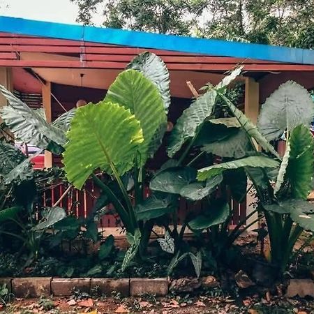 Song Pee Nong Resort Phattalung 파탈룽 외부 사진